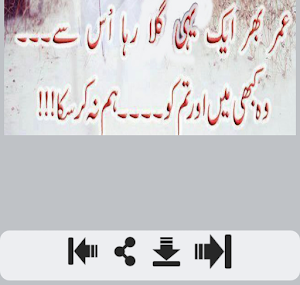 Gilla Shayari Screenshot 2