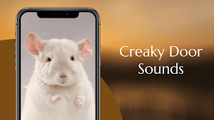 Creaky Door Sounds Screenshot 1