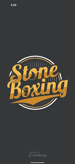 Stone Boxing Screenshot 0