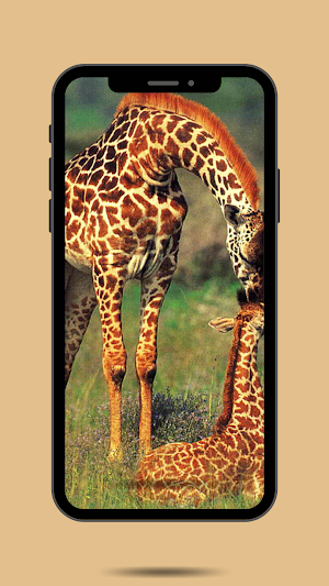 Giraffe Ringtone Screenshot 0