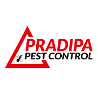 GetPradipa