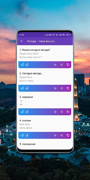 Турецкий разговорник Screenshot 3