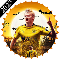 Erling Haaland Stickers for WA