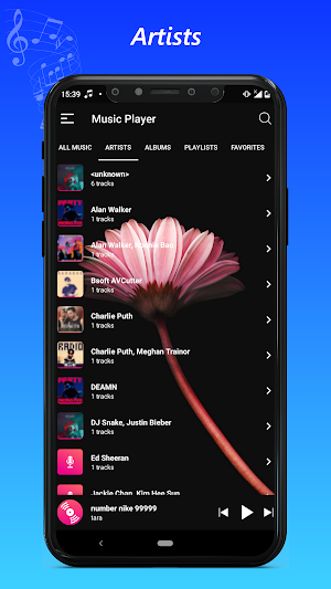 music player Screenshot 1