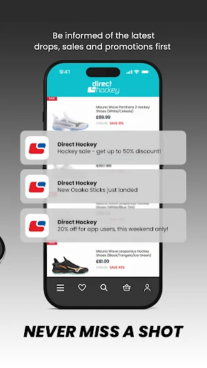 Direct Hockey Screenshot 2