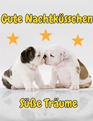Gute Nacht Bilder Screenshot 0