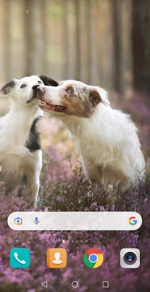 Dog cute wallpaper Screenshot 2