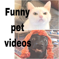 Funny pet videos
