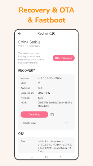 HyperOS Downloader Screenshot 2