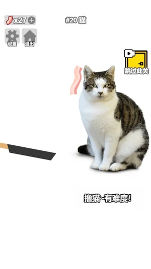 玩成大師-完成大師沙雕培根游戏 Screenshot 3