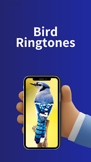 bird ringtones - Birds Sound Screenshot 0