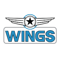 Wings Over U.S.A.