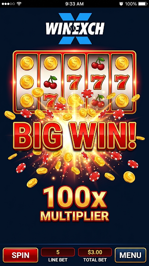 WinExch Screenshot 2