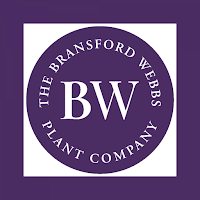 Bransford Webbs