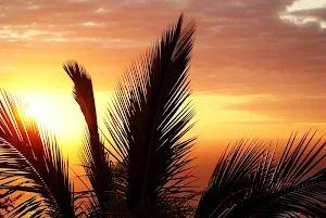 Sun wallpapers Screenshot 0