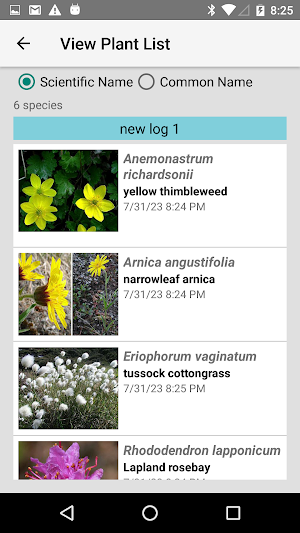 Nunavut Wildflowers Screenshot 3