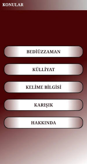 Risale-i Nur'dan Sualler Screenshot 0