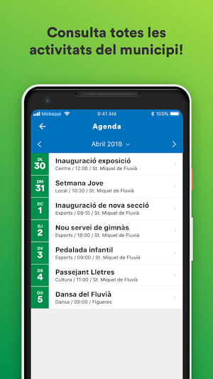 Ajuntament de Sant Miquel de Fluvià Screenshot 2