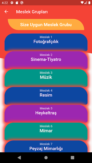 Meslek Grubu Testi (2021) Screenshot 3