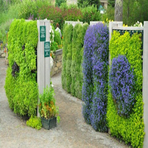 Garden Vertical Screenshot 2