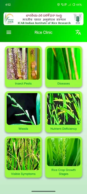 Rice Clinic Screenshot 3