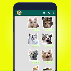 Best Cat Stickers for Chat WAStickerApps 2020 Screenshot 2
