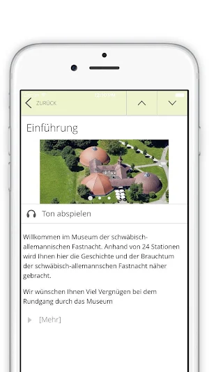 NARRENSCHOPF Screenshot 2