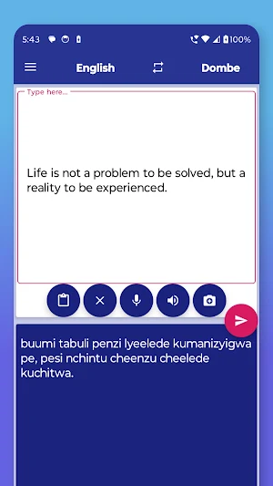 Dombe English Translator Screenshot 2