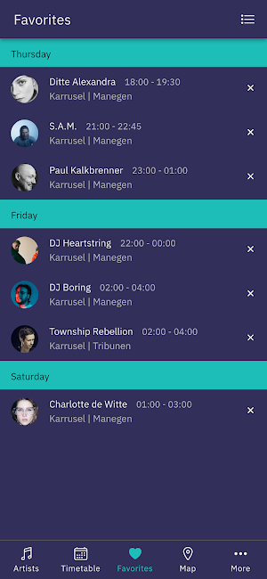 Karrusel Festival Screenshot 2