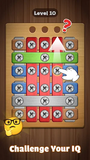 Screw Challenge: Nuts & Bolts Screenshot 1