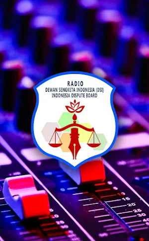 Radio DSI screenshot 3