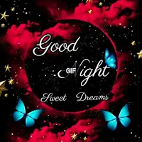 GIF Good Night  Images