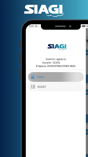 SIAGI – Sistemas de Gestión Screenshot 2