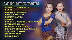 Lagu Campursari Niken Salindry Screenshot 0