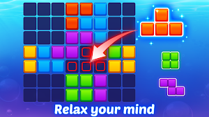 Block Puzzle Fish Screenshot 1