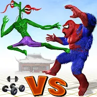 Superhero Kungfu Fighting Game