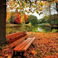 Fall Wallpaper 2023