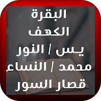 سور من القرآن الكريم