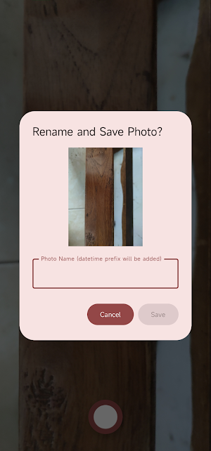 Camera, Rename Screenshot 2