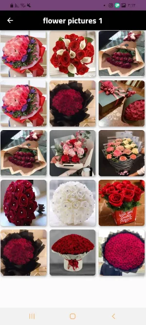 flower _ flower picture Screenshot 3