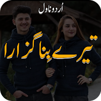 Tere Bina Guzara Urdu Novel