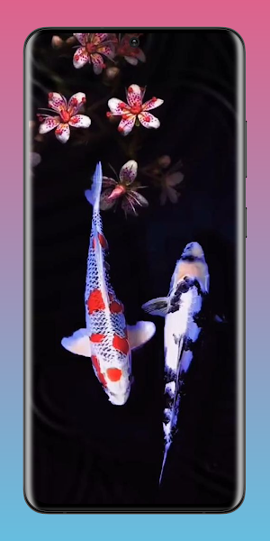 Koi Fish Pond Wallpaper HD 4K Screenshot 1