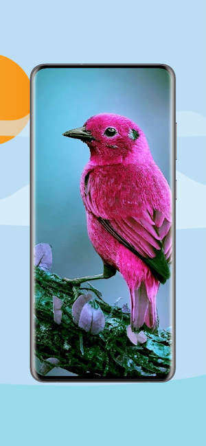 Cute Animal Wallpapers 4K Screenshot 3