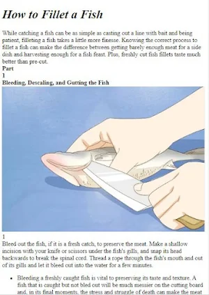 Fish Recipes Guide Screenshot 3