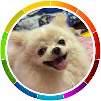 Talk to dog. My Talking Pet