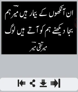 Meer Taqi Meer Shayari Screenshot 0