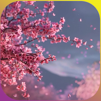 Sakura Flowers Wallpapers