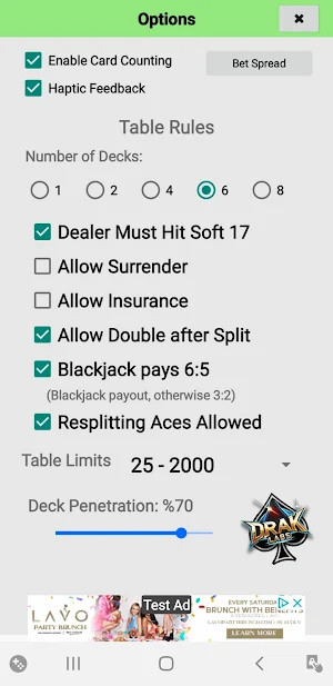 Blackjack Strategy Elite Screenshot 2