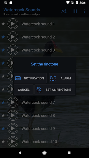 Watercock Sounds ~ Sboard.pro Screenshot 2
