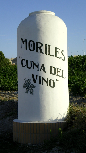 Guía de Moriles Screenshot 0